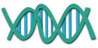 Learning Natural Selection in the Human Genome with Machine Learning