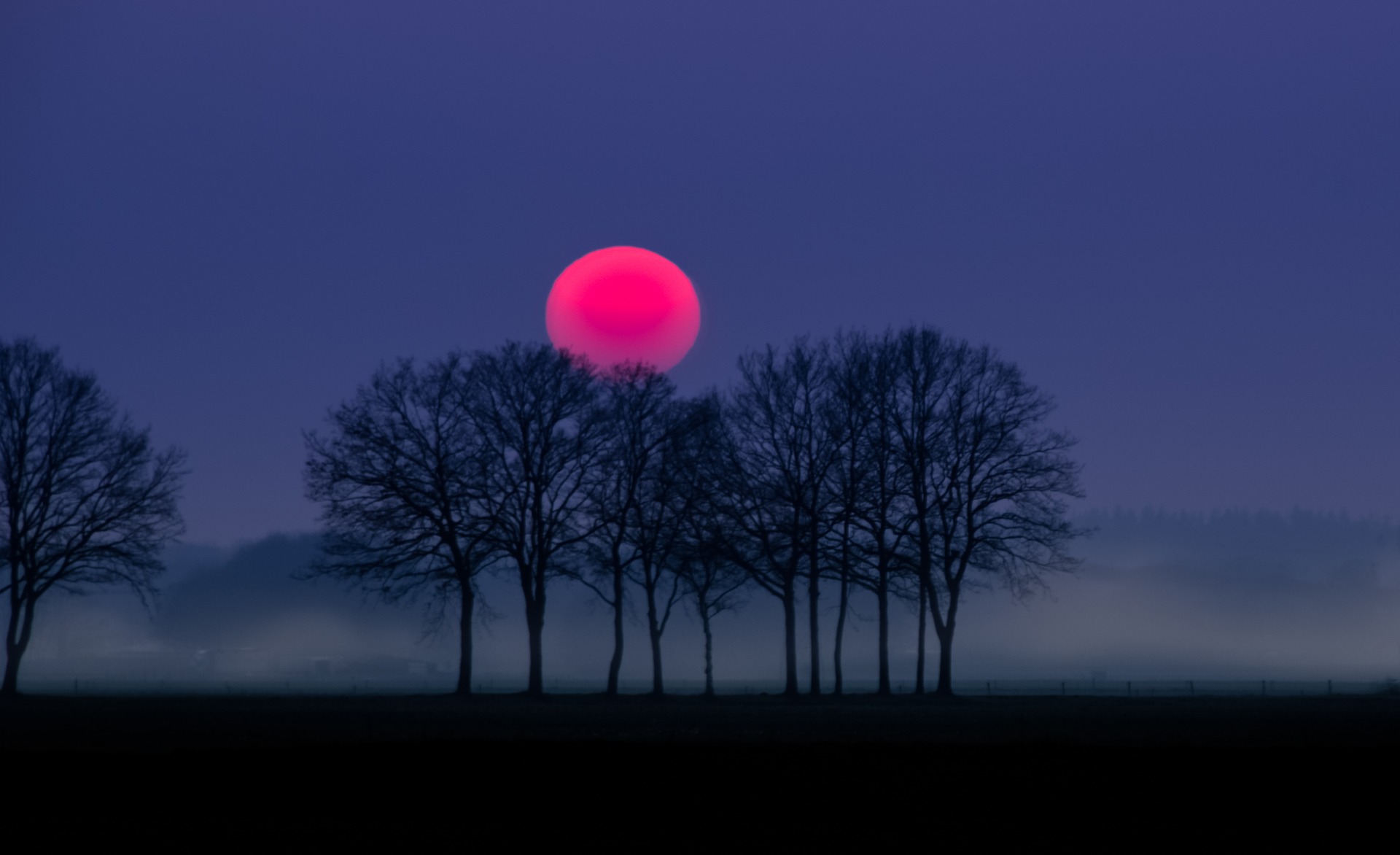 red-1746269_1920