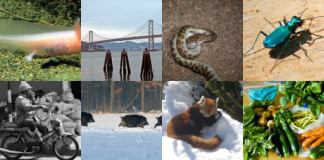 TF-GAN, A lightweight GAN library for TensorFlow 2.0