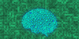 Create a Neural Network With PyTorch