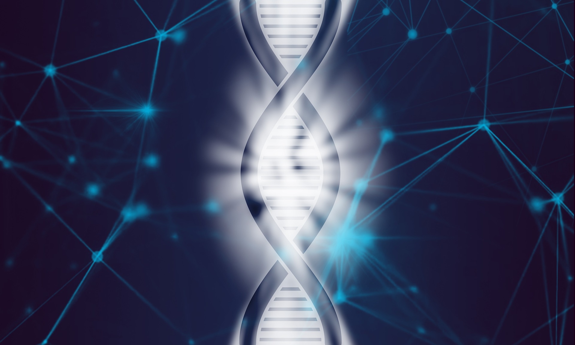 dna-4068826_1920