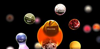 Sony AI Launches An AI-Powered Gastronomy Flagship Project