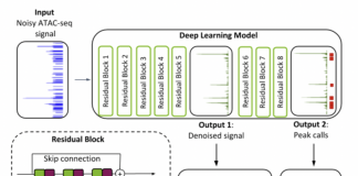 NVIDIA and Harvard University Researchers Introduce AtacWorks: A Machine Learning Toolkit to Revolutionize Genome Sequencing