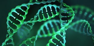 NVIDIA DGX A100 and NVIDIA Clara Parabricks Accelerates Whole Genome Sequencing Data Processing at National Biobank of Thailand