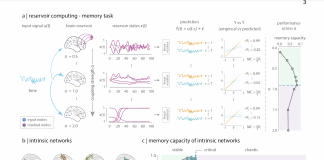 This New Study Shows Artificial Neural Networks (ANN) Based On Human Brain Connectivity Can Perform Cognitive Tasks Efficiently