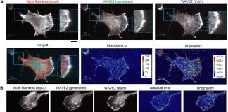 NAIST Researchers Introduce A New Machine Learning (ML) Algorithm To Localize Proteins Within the Cells
