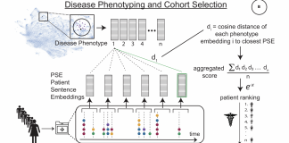 ‘Phe2vec’: An Automated AI Framework Based on Neural Networks For EHR-Based Disease Phenotyping