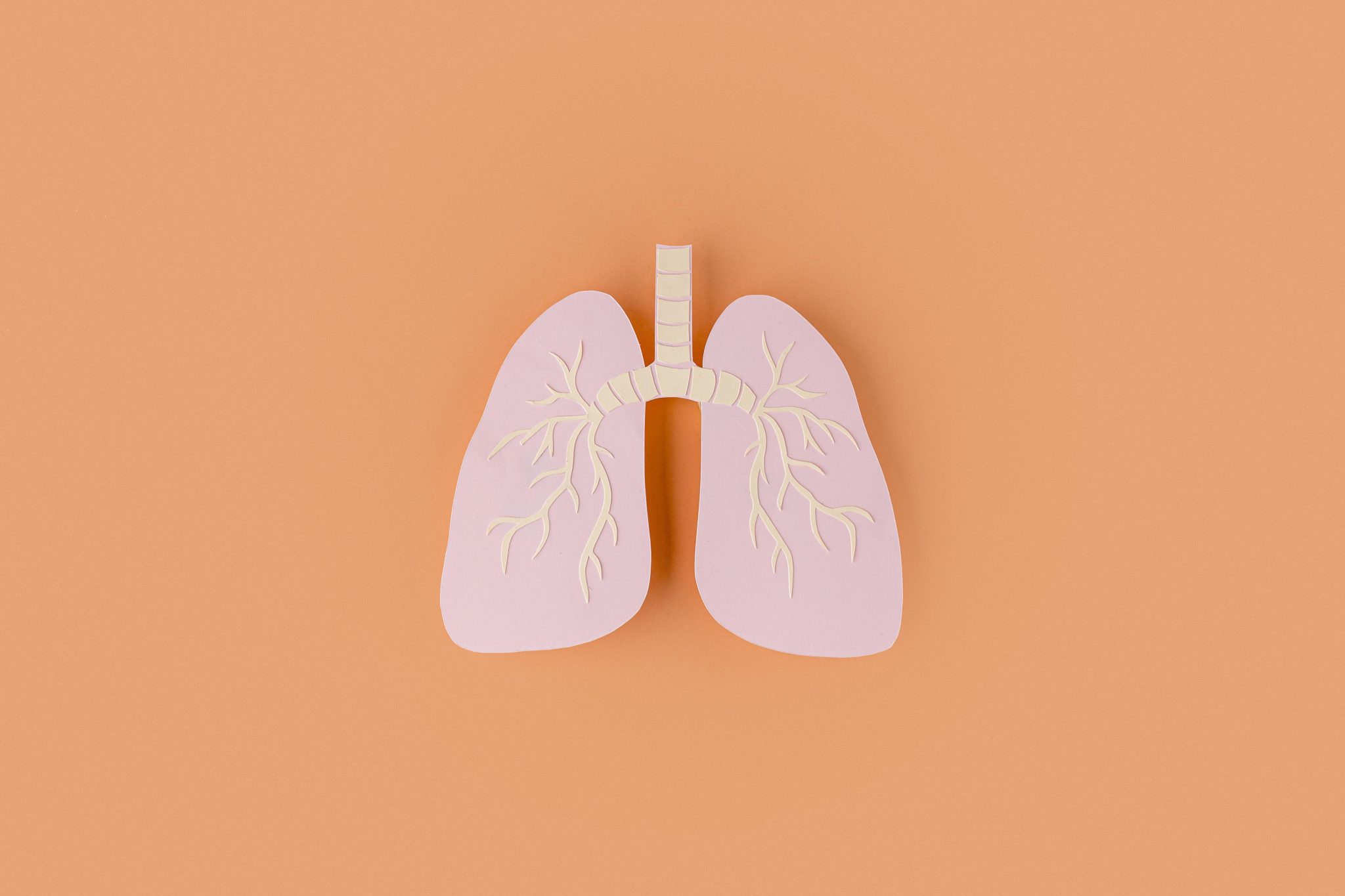 paper-made-lungs-isolated-orange
