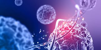 Sartorius Open-Source ‘LIVECell’, A Deep Learning Dataset For Label-Free Live Cell Segmentation
