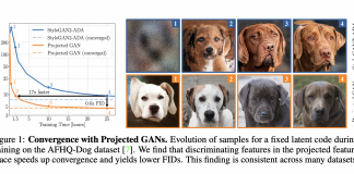 Researchers Propose ‘Projected-GANs’, To Improve Image Quality, Sample Efficiency, And Convergence Speed
