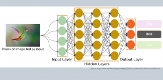 Understanding The Concept Of Convolutional Neural Networks (CNNs)