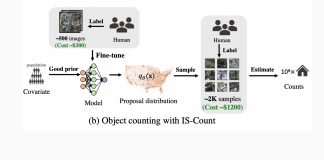 Efficient Large-scale Object Counting in Satellite Images with Importance Sampling