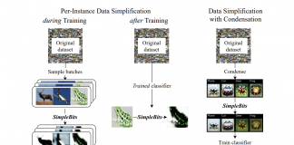 Researchers Introduce ‘SimpleBits’: An Information-Reduction Strategy That Learns To Synthesize Simplified Inputs For Neural Network Understanding