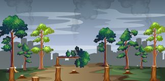 Using AI, Stanford Researchers Develop An Algorithm To Detect Illegal Deforestation With The Help Of Satellite Images