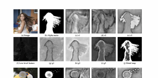 Baidu Researchers Introduce PP-Matting: A Trimap-Free Architecture That Can Achieve High-Accuracy Natural Image Matting
