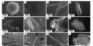 In The Latest Research From The University Of Toronto, Machine learning-Based Approach Speeds Up The Counting Of Microplastics