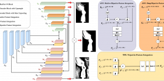 Researchers From the University of Sydney and Adobe Propose P3M-Net: A Portrait Matting Model with Privacy Preserving