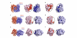 The University of Michigan Researchers Proposes A New Machine Learning (ML) Model That Anticipates Interactions Between Nanoparticles And Proteins