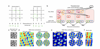Stanford And Oxford Researchers Propose An Approach To Relate Transformers To Models And Neural Representations Of The Hippocampal Formation