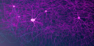 Transformation and Innovation in Machine Learning Models: How Active Learning Workflow can Change the Way of Optimization in Genetic and Metabolic Networks