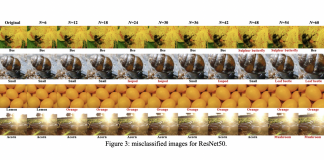 Understanding The Impact of Scaled Image on Robustness of Deep Neural Networks by Introducing a Scaling-Distortion Dataset ImageNet-CS