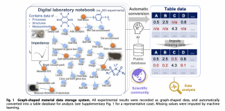A Platform for Managing Lossless Data for Machine Learning and Sharing Experimental Data