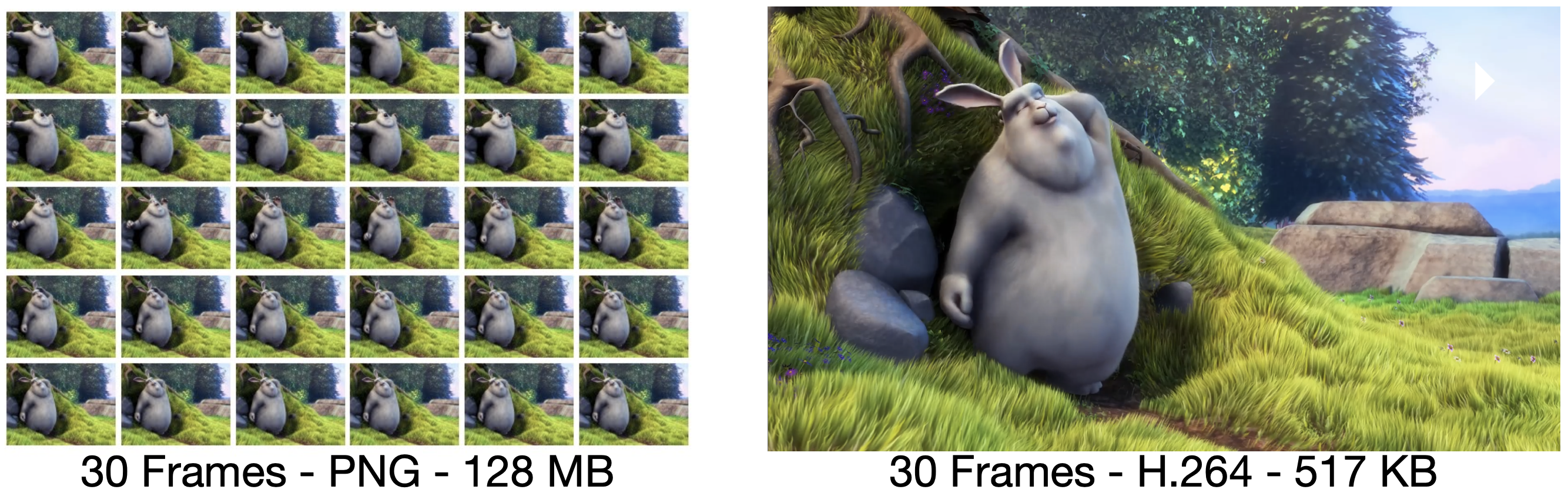 fig1 (1)
