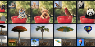 This AI Paper Introduces A Novel Image Editing Scenario Called Paint By Example Where You Can Edit A Scene By Painting With A Conditional Image