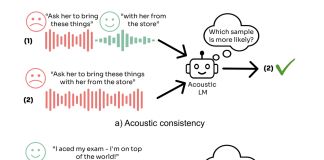 How Well Can AI Models Capture the Sound of Emotion? This AI Paper Unveils SALMON: A Suite for Acoustic Language Model Evaluation
