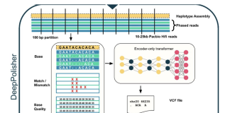 Google AI Releases DeepPolisher: A New Deep Learning Tool that Improves the Accuracy of Genome Assemblies by Precisely Correcting Base-Level Errors