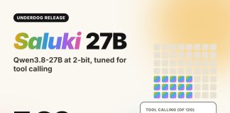 Meet the Underdog Saluki 27B: A 2-bit Qwen3.8-27B That Beats the Original at Tool Calling Meet the Underdog Saluki 27B: A 2-bit Qwen3.8-27B That Beats the Original at Tool Calling